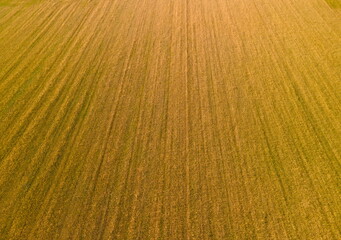 Drone view of the highway road, forest and fields, top view and blue sky