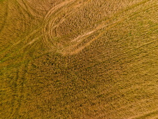 Drone view of the highway road, forest and fields, top view and blue sky