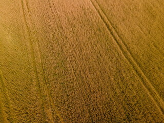 Drone view of the highway road, forest and fields, top view and blue sky