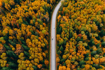 Aerial view of asphalt road with cars and colorful fall autumn forest in rural Finland.