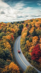 Aerial View of Car Driving Through Autumn Forest - Winding Road Adventure Vertical