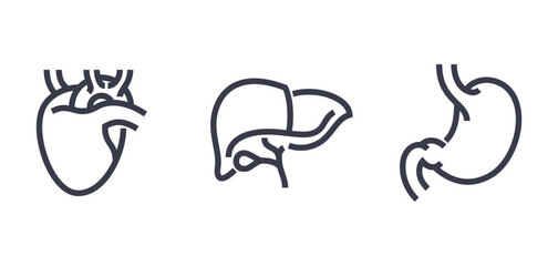 Healthy liver, stomach and heart - icons set in bold line