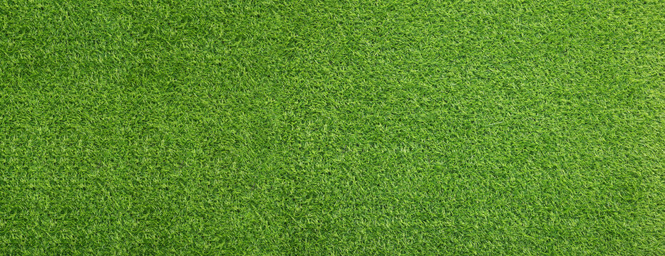 Green artificial grass as background, banner design
