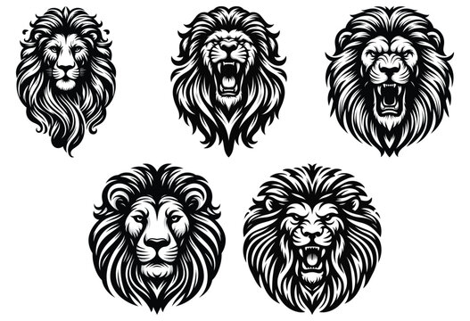 Detailed black and white lion head illustrations, isolated against white, ideal for tattoo design