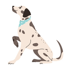 Flat vector illustration of a Dalmatian dog. Illustration of a happy Dalmatian with a wagging tail