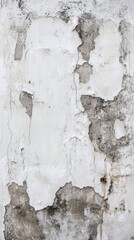 The surface features various cracks and peeling areas, displaying a rugged texture with subtle gray and white tones