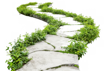 Concrete Pathway with Grass