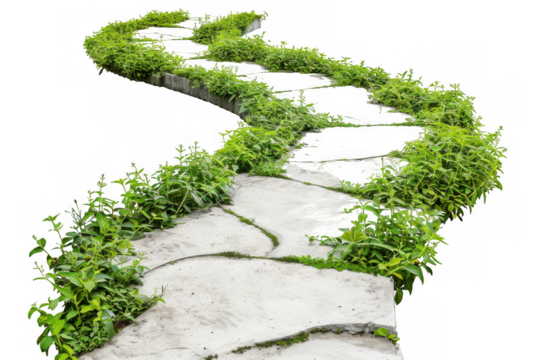 Concrete Pathway with Grass