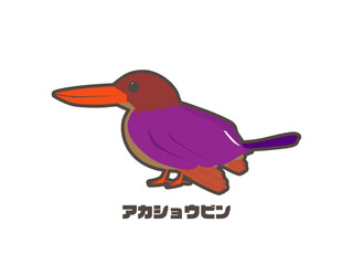 カワセミ科の鳥、アカショウビン