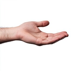 Isolated male hand or palm on white, cutout transparent