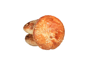 Three sesame buscuit, one front view and two behind isolated on transparent background. Food commercial stock photo.. PNG files.