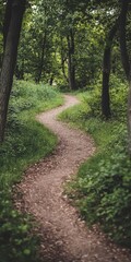 Fototapeta premium Winding path through a lush green forest leading into the distance