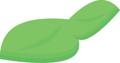 Single green basil leaf lying isolated on white background