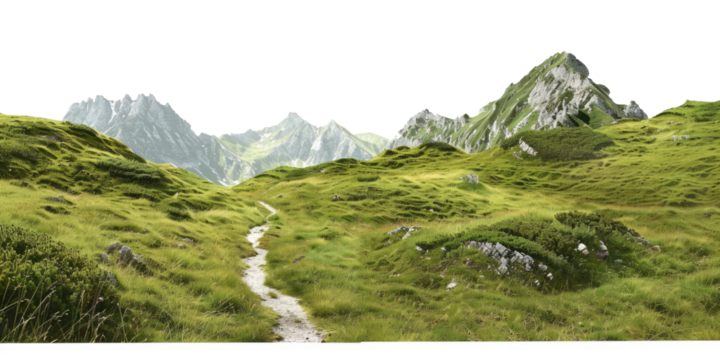 green grassland landscape isolated on white or transparent png