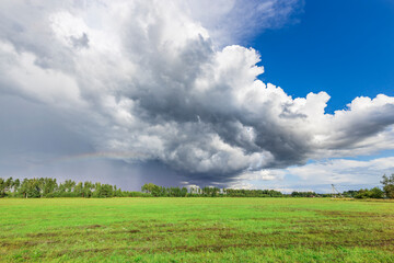 A field of grass with a storm cloud in the sky