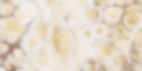 Marbleized Textures: Luxurious Oil-Painted Magic for High-End Brands
