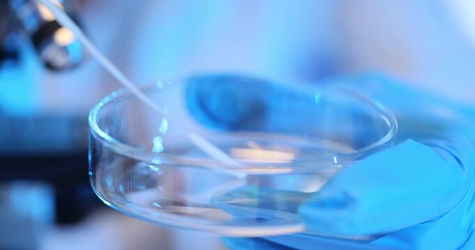 Petri dish and smear in laboratory setting