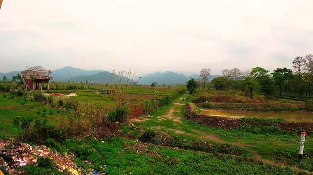 POV from Train Window of Scenic Tea Gardens in Dooars, Near Garumara National Park, West Bengal
