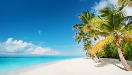 Obraz premium Tropical paradise beach with white sand and coco palms. Travel tourism wide panorama background concept