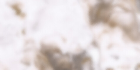 Captivating Translucence: Unleashing the Charm of Liquid Art in Oil Paint
