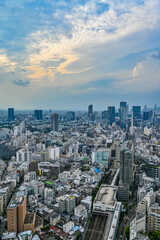 Fototapeta premium 日本の東京の都市風景