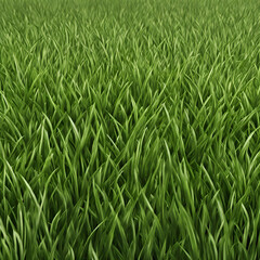 Obraz premium Background texture of green grass
