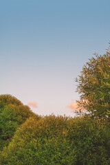 Obraz premium Vibrant sunset sky with lush green trees creates a serene landscape