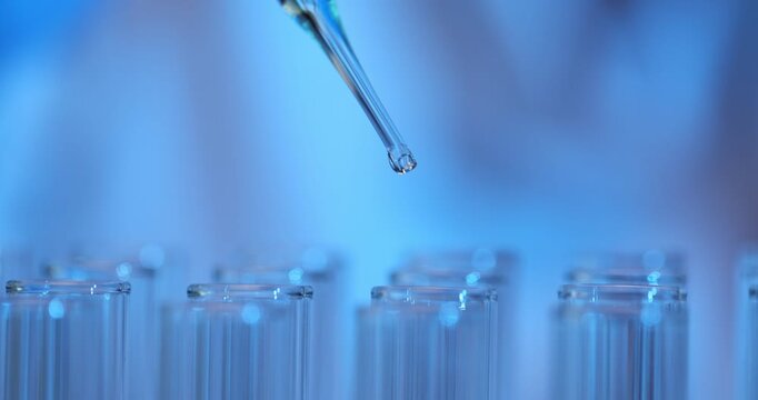 Drop of blue transparent liquid into test tubes in laboratory