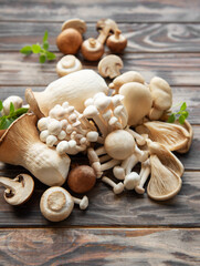 Assortment of various  mushrooms