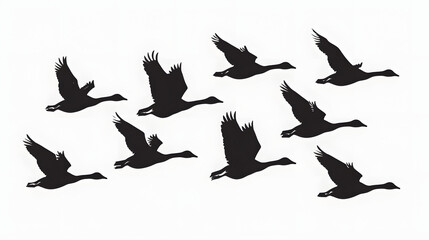 Obraz premium Set of silhouettes of flying geese. Birds flock with V formation. Geese migrating season