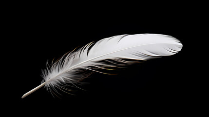 Obraz premium White feathers black background simple design