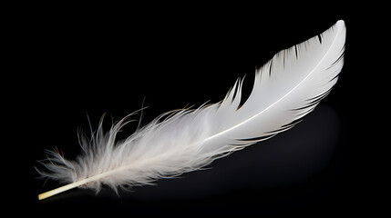 White feathers black background simple design