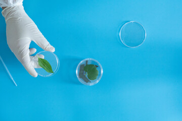 Production line pharmaceutical industry. Manufacturing of drugs and medications, pharmaceuticals.