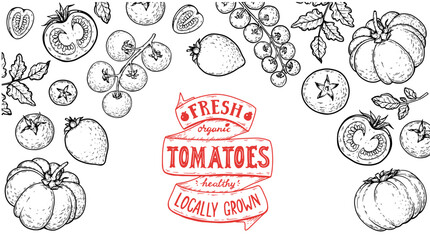 Tomatoes frame. Hand drawn illustration. Tomato vegetable sketch. Organic tomato design template. Vector illustration. Package design elements.