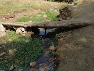 Ben Smim, Morocco - August 06 08, 2024: A forest trip in the Middle Atlas Mountains of Morocco, breathtaking views accompanied by the sounds of running water
