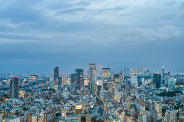 Fototapeta premium 日本の首都東京の夜景