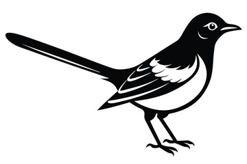 Black and White Owl Vector Illustration Design
