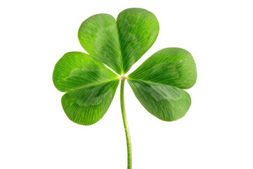 Green Four-Leaf Clover