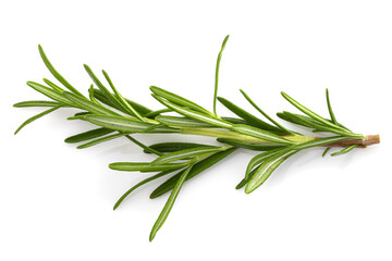 Rosemary leaf herbal is spices isolated on a white background.