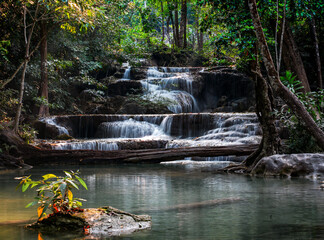 waterfall in the forest