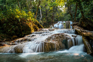 waterfall in the forest
