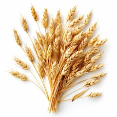 Fototapeta premium Image shows a handful of golden wheat stalks.