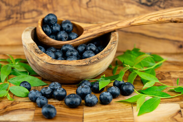 frische Blaubeeren Vaccinium myrtillus aus dem eigenen Garten