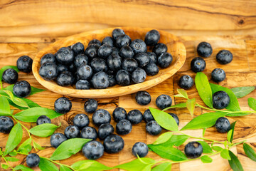 frische Blaubeeren Vaccinium myrtillus aus dem eigenen Garten