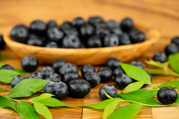frische Blaubeeren Vaccinium myrtillus aus dem eigenen Garten