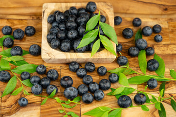 frische Blaubeeren Vaccinium myrtillus aus dem eigenen Garten