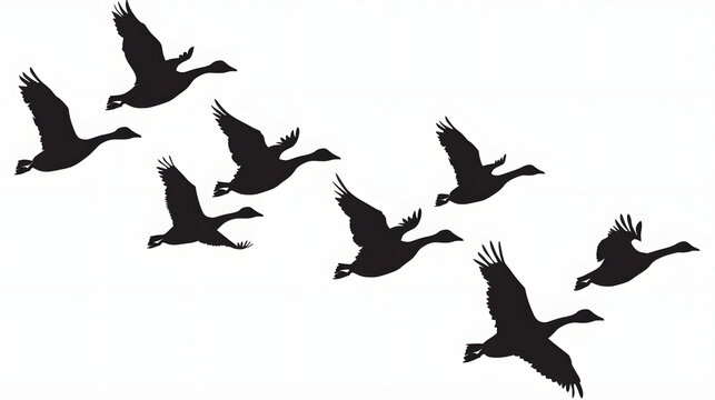 Set of silhouettes of flying geese. Birds flock with V formation. Geese migrating season