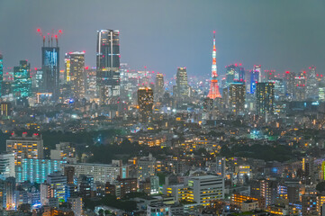 Naklejka premium 日本の首都東京の夜景