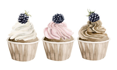 Cupcakes with colorful cream and blackberry. Watercolor hand drawn isolated illustration with bramble for bakery design