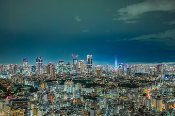 Obraz premium 日本の首都東京の夜景